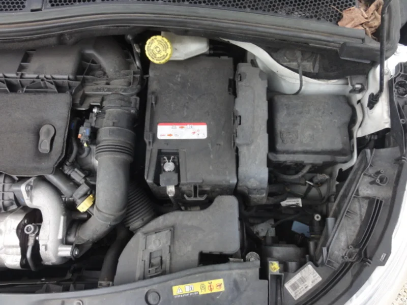 Photo 42
